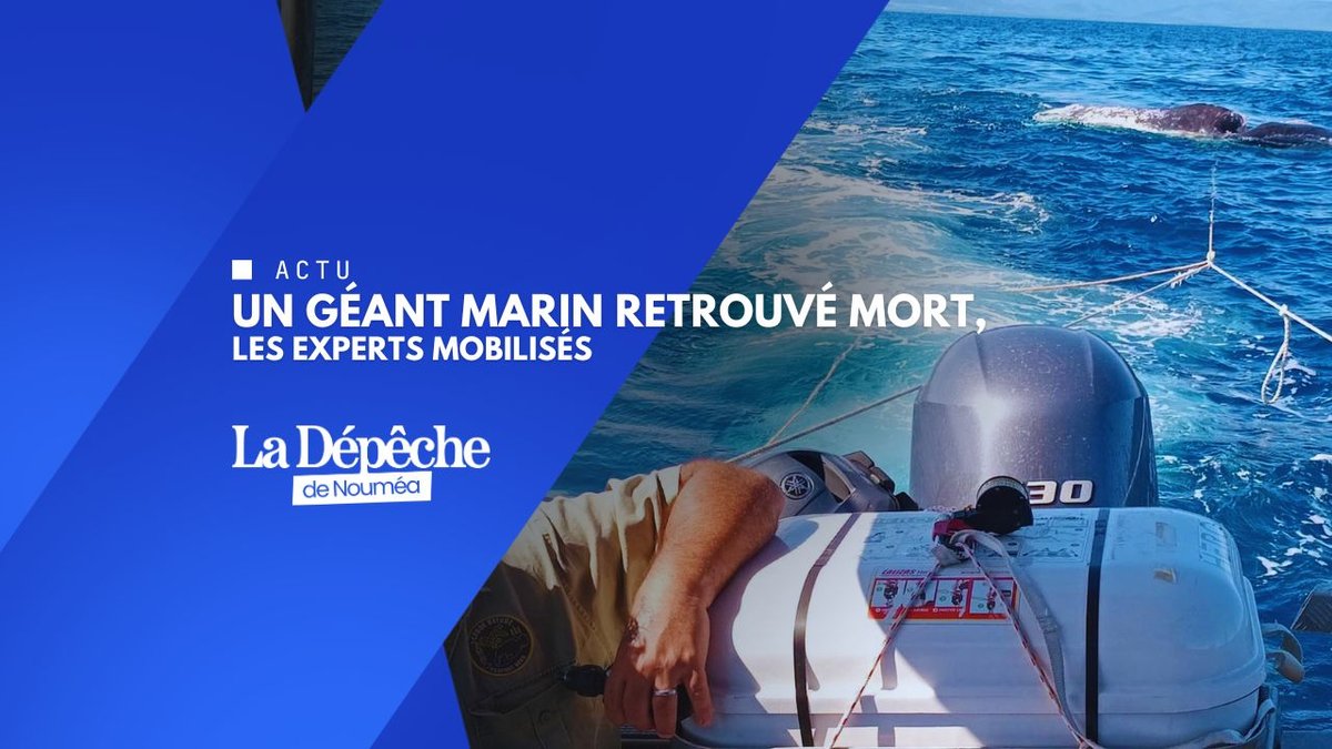 Pweebü : l’incroyable découverte des pêcheurs