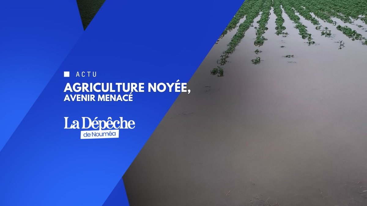 Sinistre agricole : le compte à rebours lancé