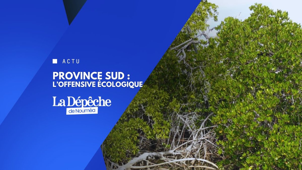 Mangroves : la mobilisation générale