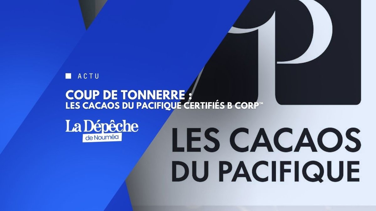 Ils prouvent que réussir sans céder est possible