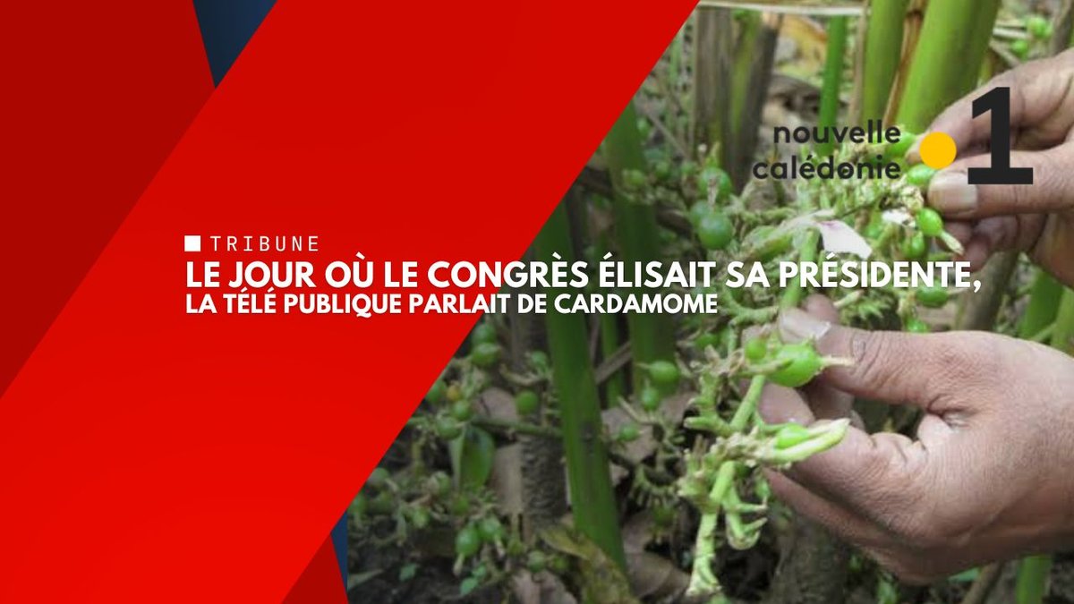 Le jour où le Congrès élisait sa présidente, la télé publique parlait de cardamome