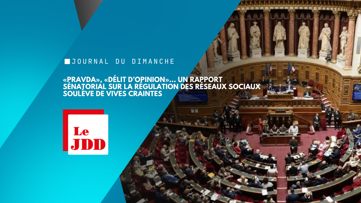 «Pravda», «délit d’opinion»... Un rapport sénatorial sur la régulation des réseaux sociaux soulève de vives craintes