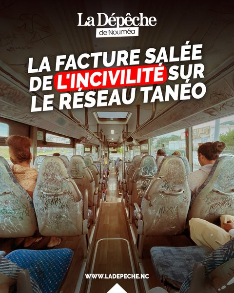 Un milliard de dégâts, des bus lacérés : la facture salée de l'incivilité sur le réseau Tanéo