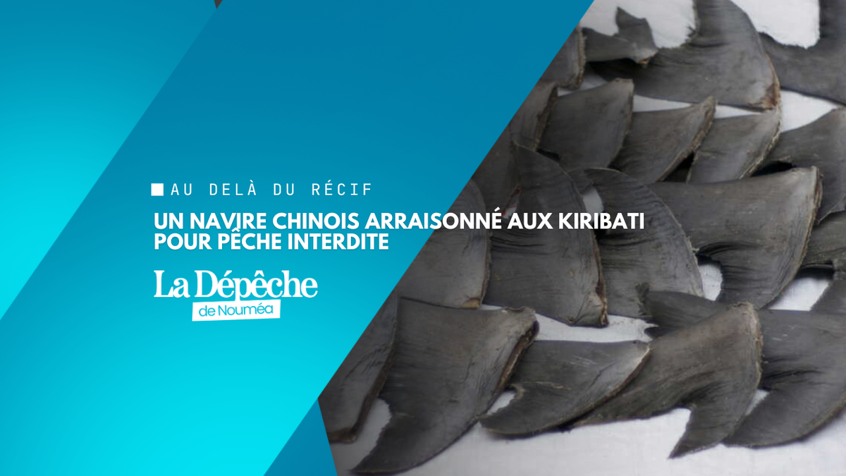 Kiribati : un navire chinois arraisonné pour des ailerons de requin