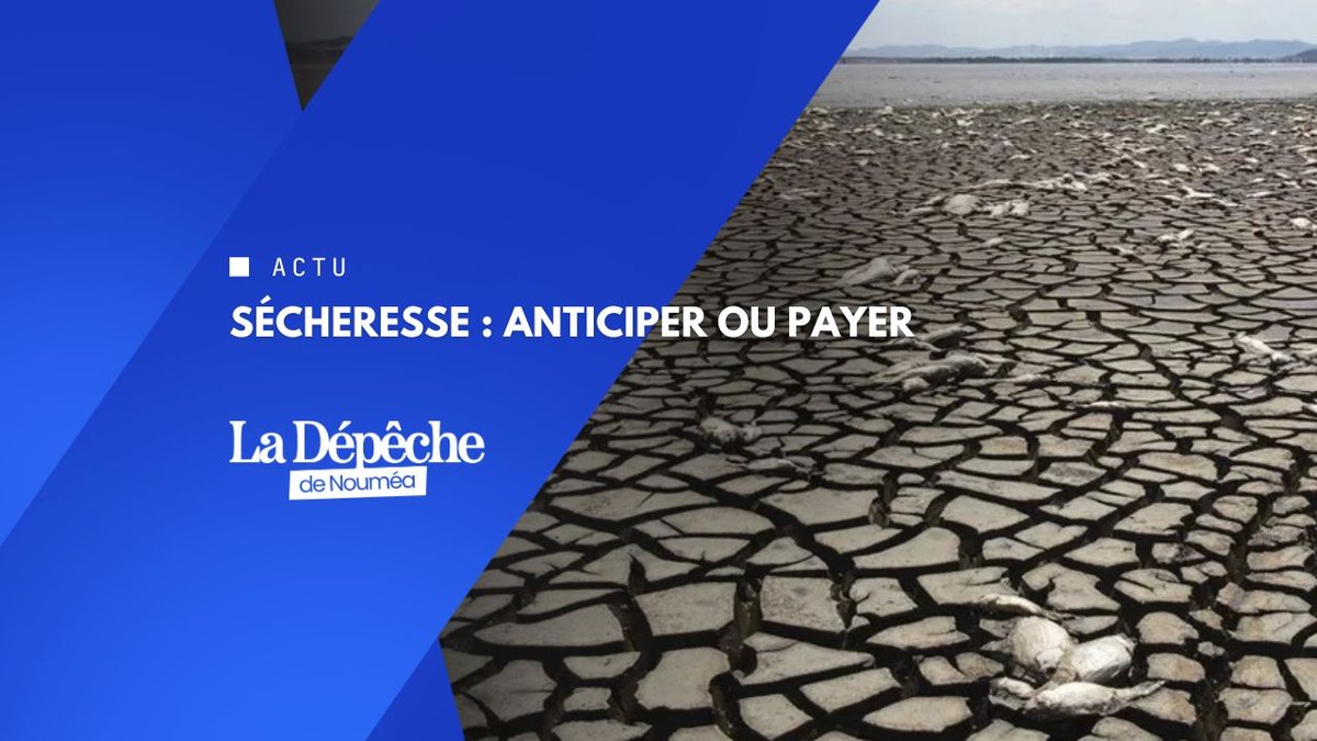 El Niño 2026 : l'agriculture calédonienne doit anticiper, pas subir