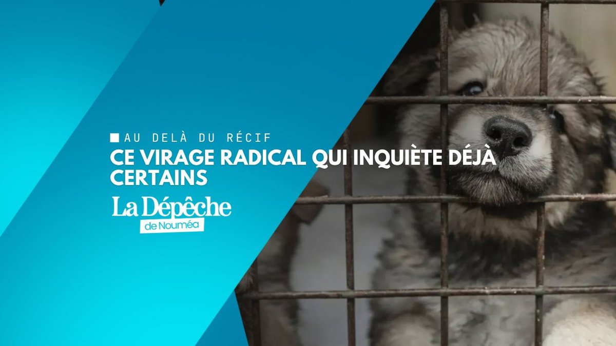 Animaux : la tolérance zéro devient réalité