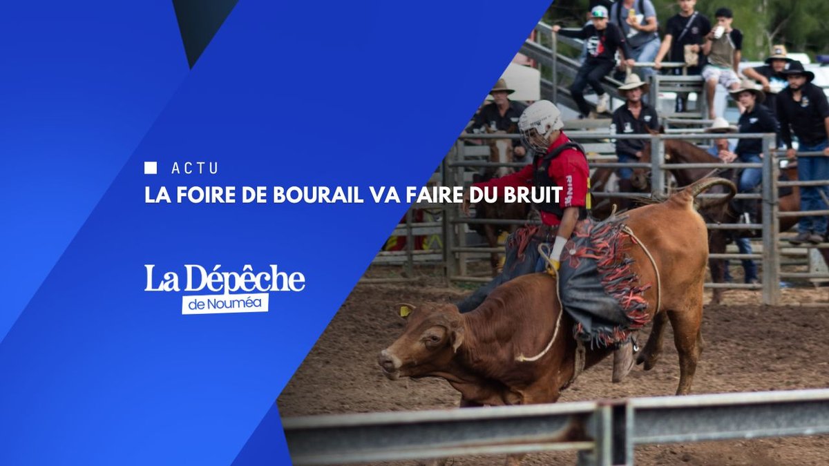 Foire de Bourail : Téné est prêt !