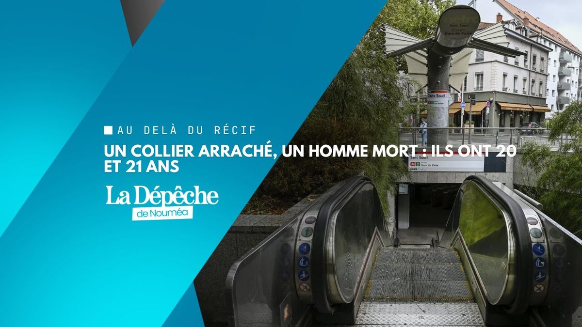 Le métro lyonnais leur a coûté bien plus qu'un collier