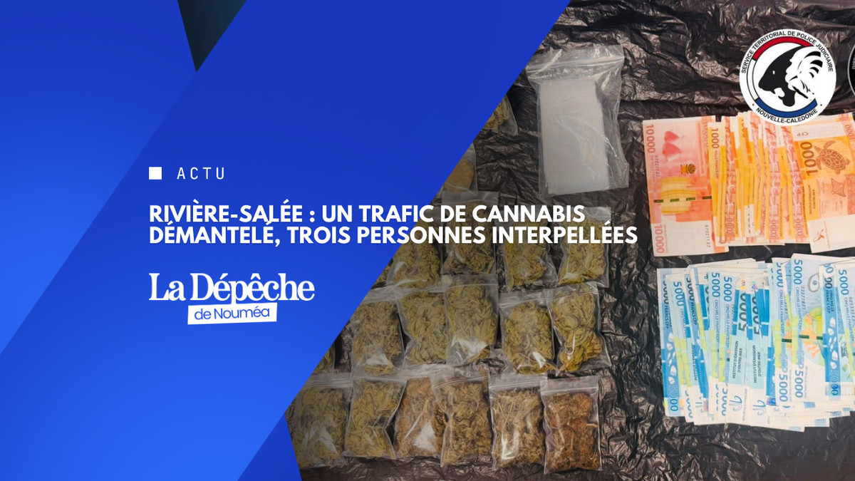 Rivière-Salée : un trafic de stupéfiants démantelé, trois personnes interpellées