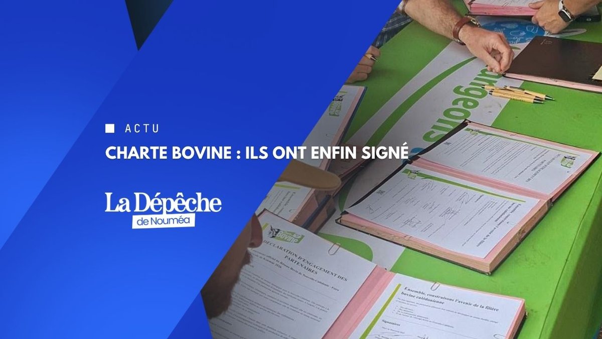 La brousse s'unit enfin, et ça change tout