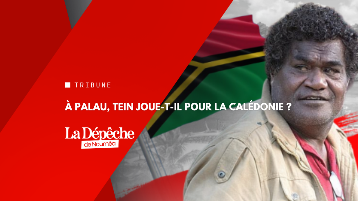 Tein à Palau avec le Vanuatu... pour quoi faire ?