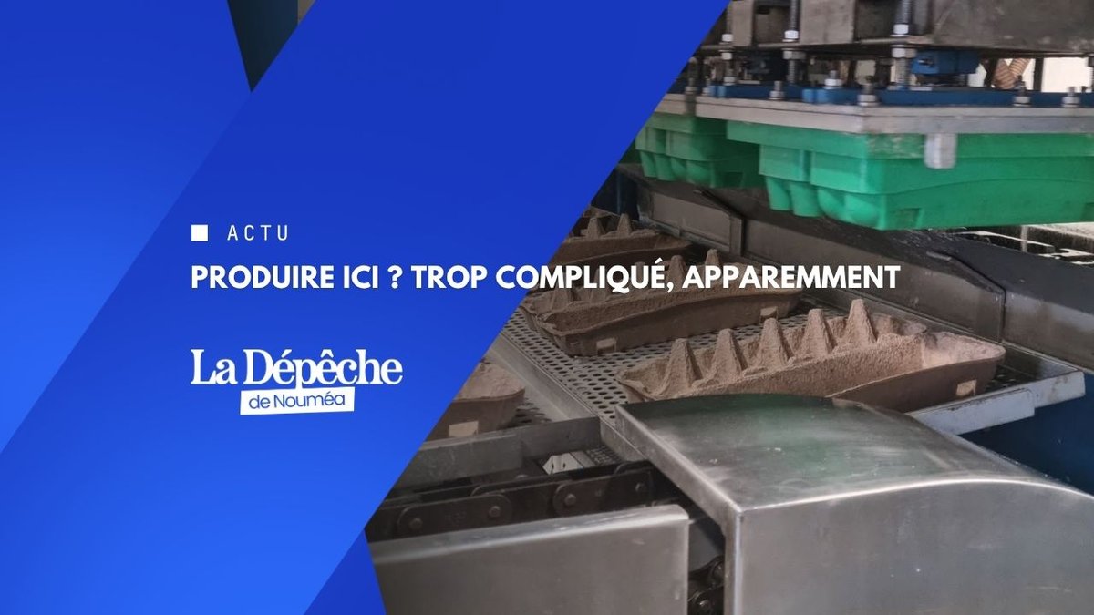 Une usine calédonienne au bord de la fermeture