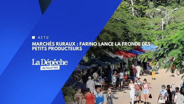 Farino contre les bureaucrates