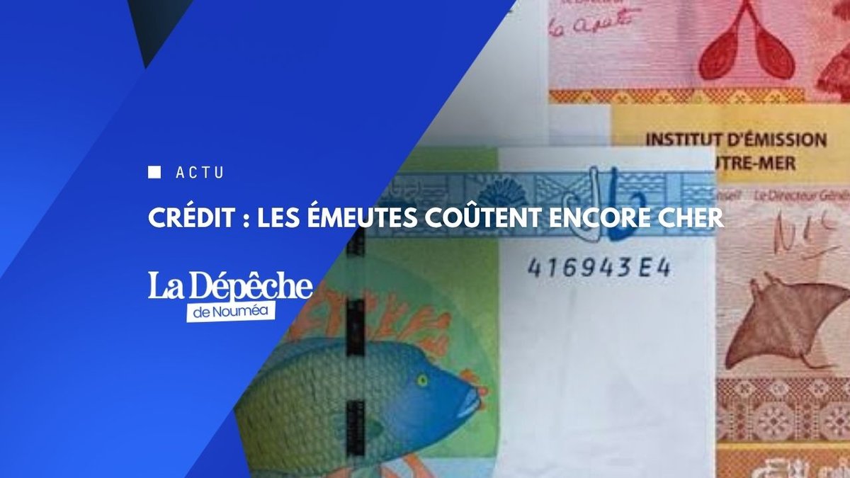 Le Caillou emprunte deux fois moins