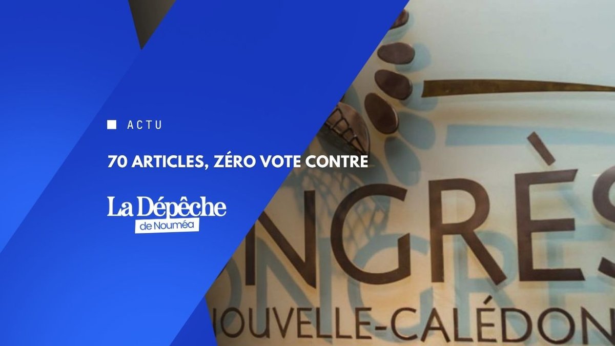Les élus votent leur propre contrôle
