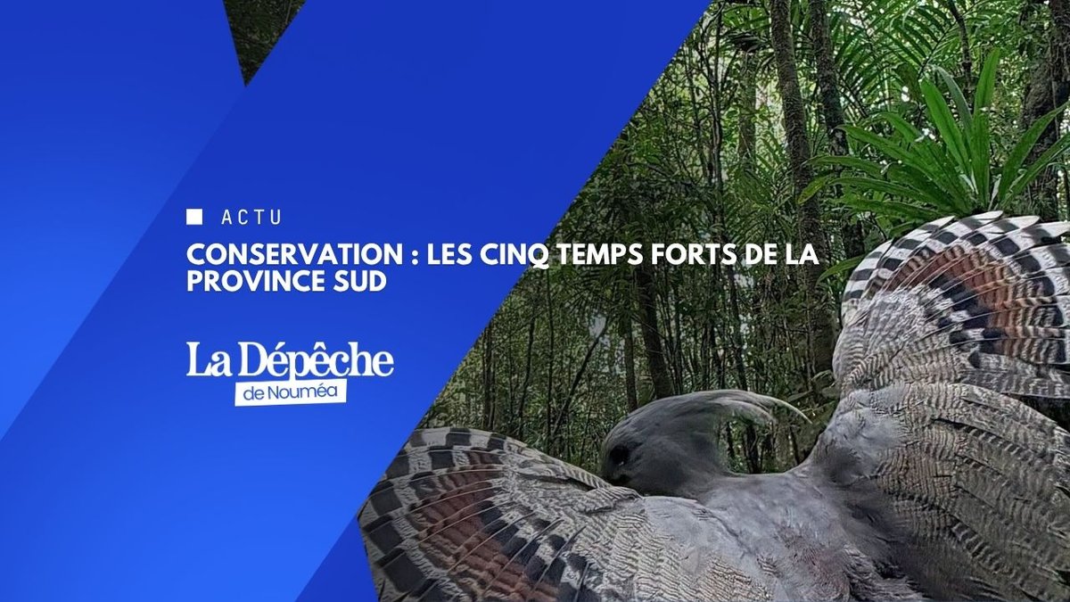 Trente ans de conservation, en cinq rendez-vous
