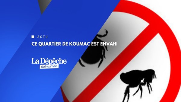 Alerte parasites dans le Grand Nord