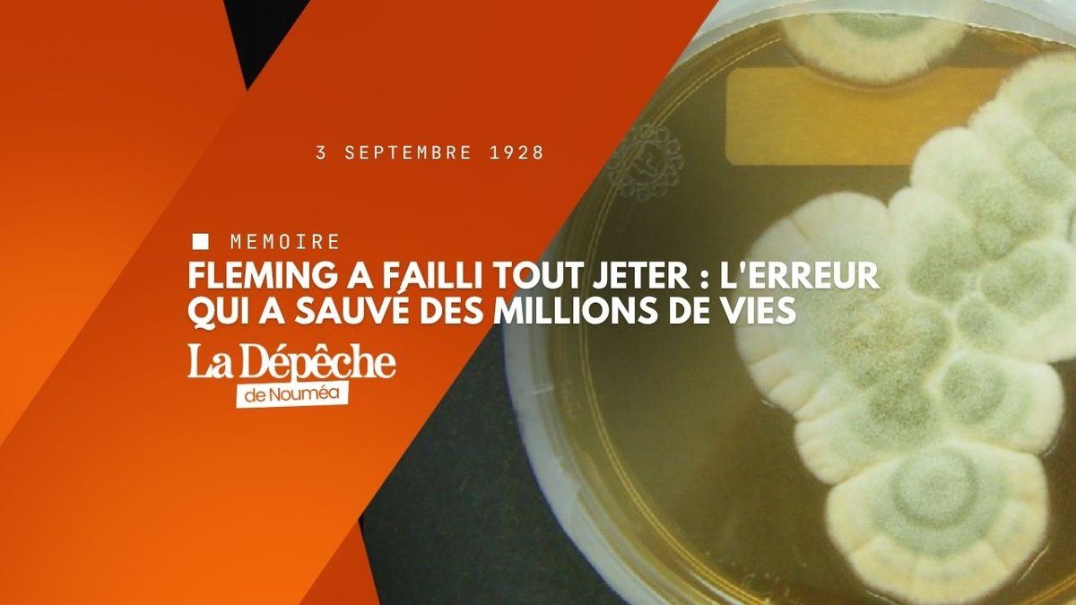 Le jour où un champignon a battu les bactéries