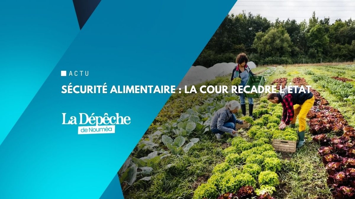 Souveraineté alimentaire : l'échec de l'État