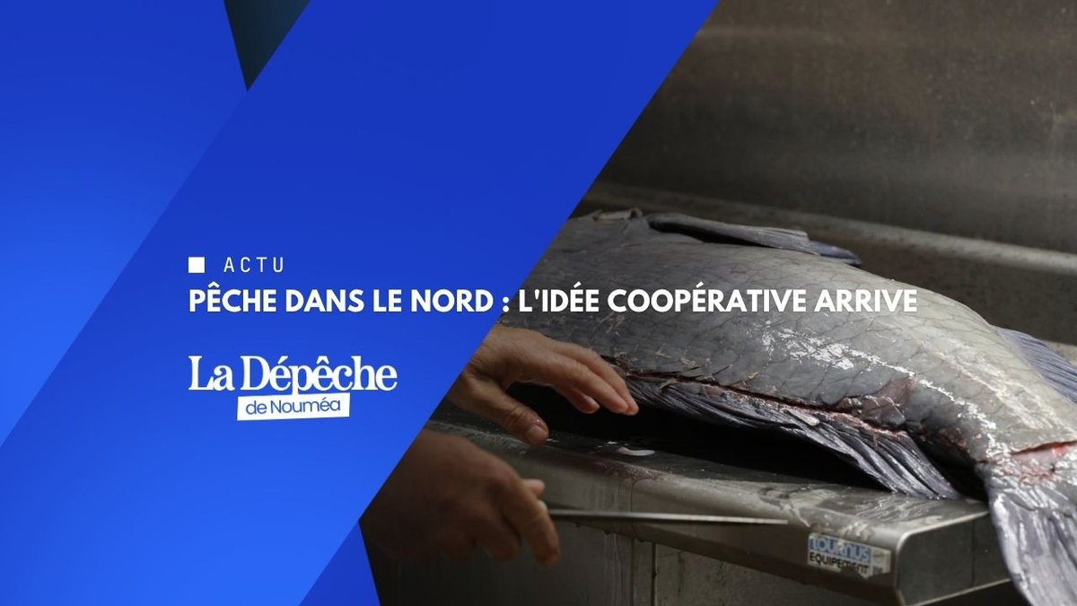 Du bateau à l'étal : ils ont tout appris