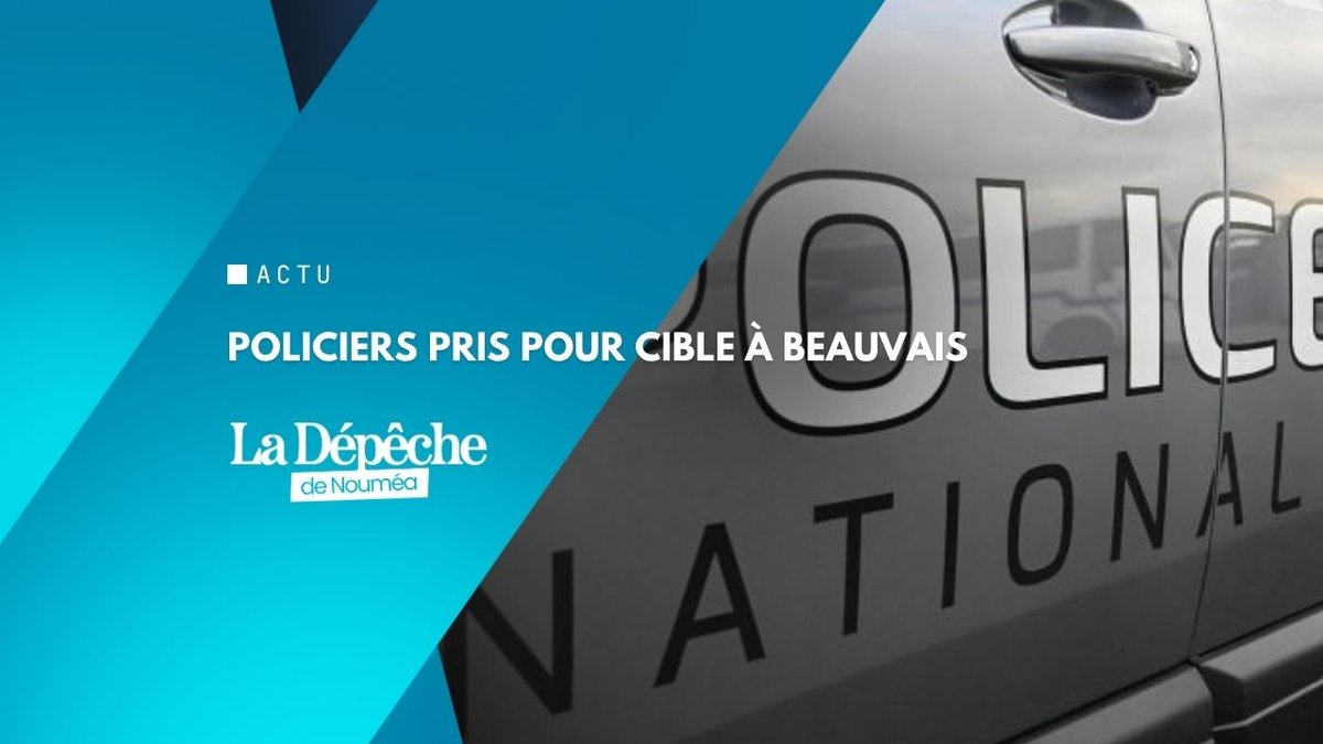 Il sort de psychiatrie, tire, meurt