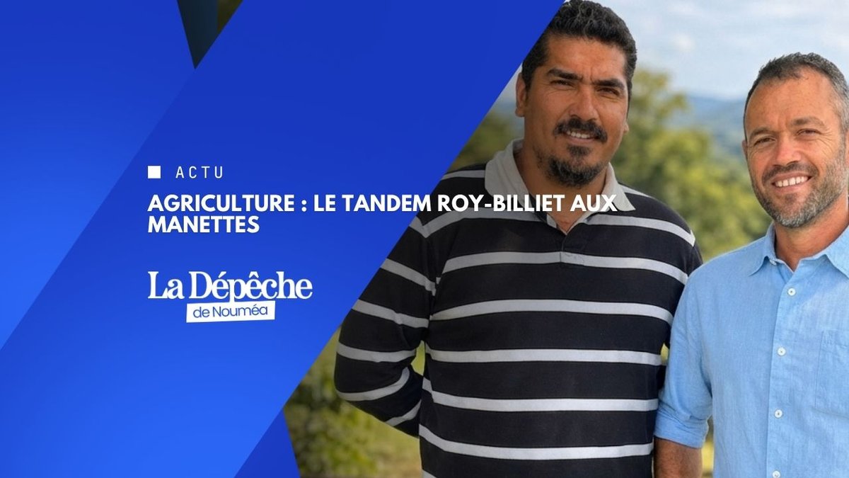 Levay Roy, deux fauteuils d'un coup