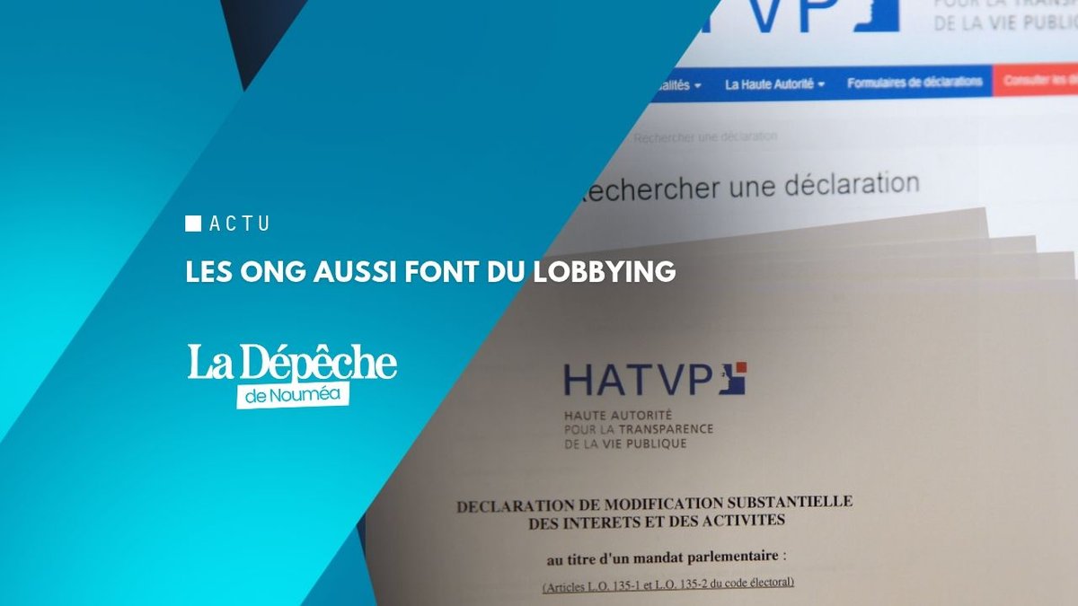 409 lobbyistes dans l’ombre