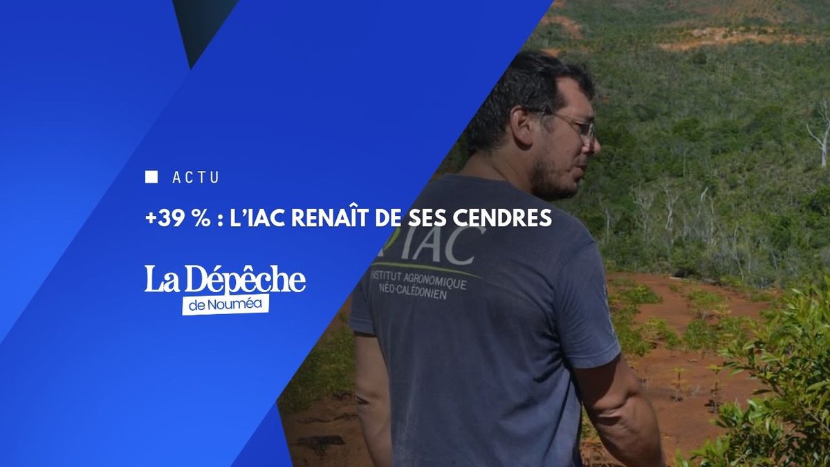 Moins d’argent, plus de résultats