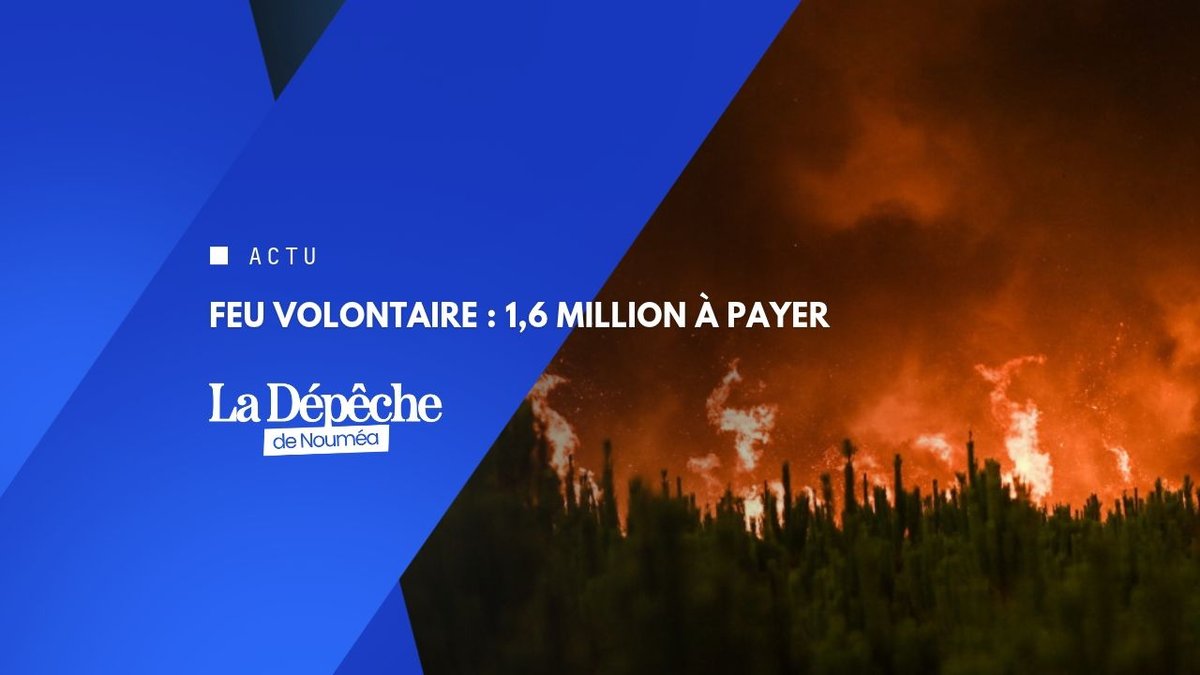Dumbéa : l’incendiaire paiera la note