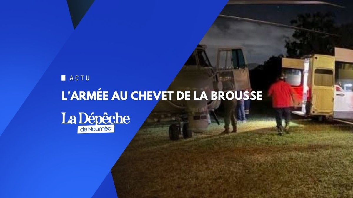 SOS Brousse : l'armée décolle