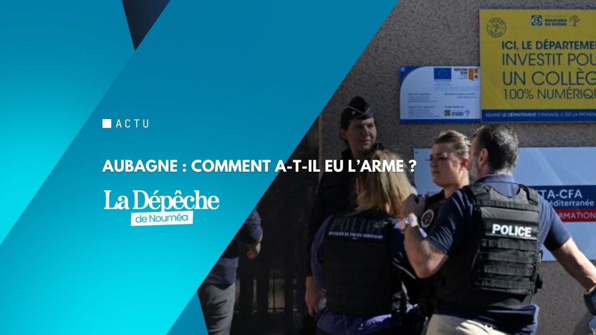 Aubagne : un fusil dans un étui de guitare