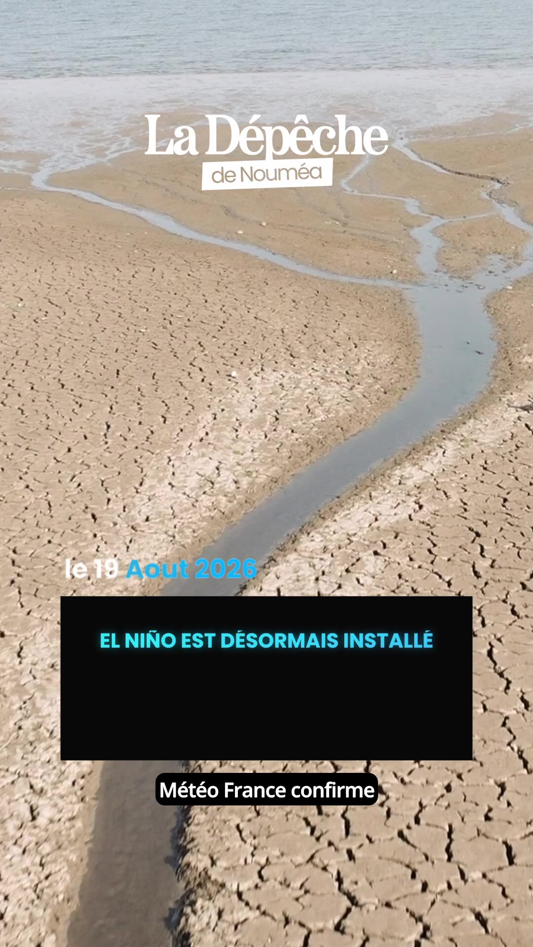 Sécheresse, feux, bétail affamé... El Niño revient et la Calédonie agricole va encore trinquer si elle n'agit pas MAINTENANT.      📎 Lien en bio