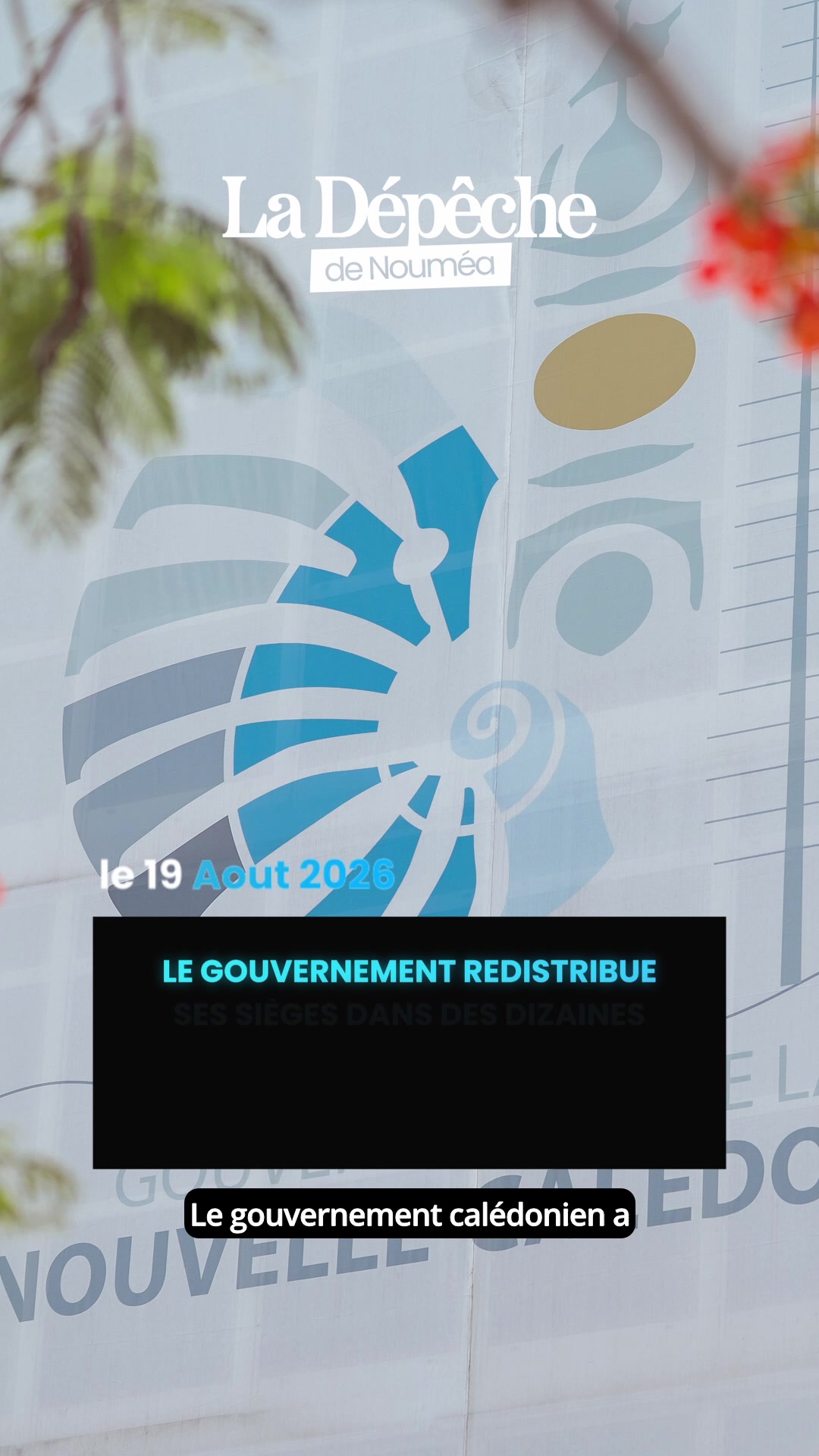 Qui décide vraiment de tout en Nouvelle-Calédonie ? On a décrypté le véritable organigramme du pouvoir calédonien !      📎 Lien en bio