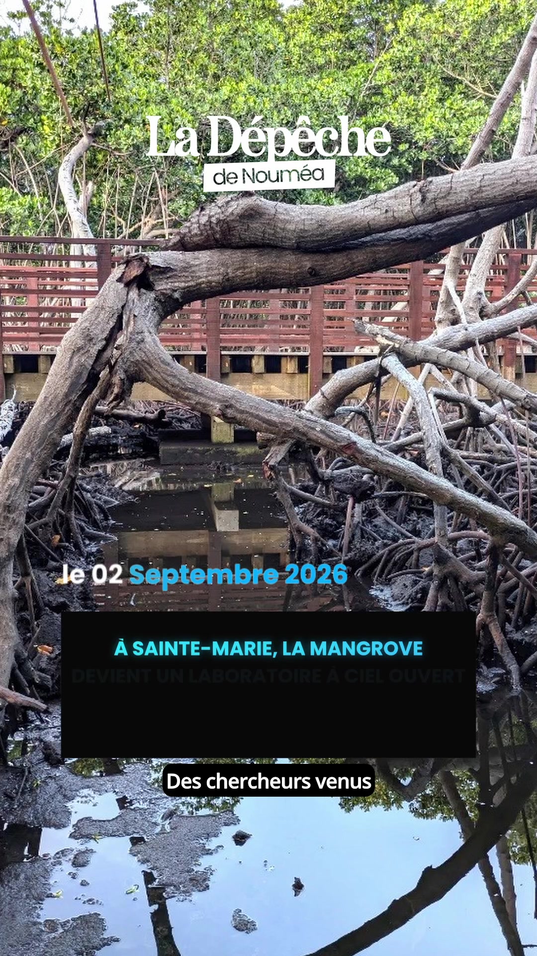 Des scientifiques d'Australie, de Nouvelle-Zélande et de métropole débarquent dans la vase de Sainte-Marie pour un chantier qui fait déjà parler tout le Pacifique !      📎 Lien en bio