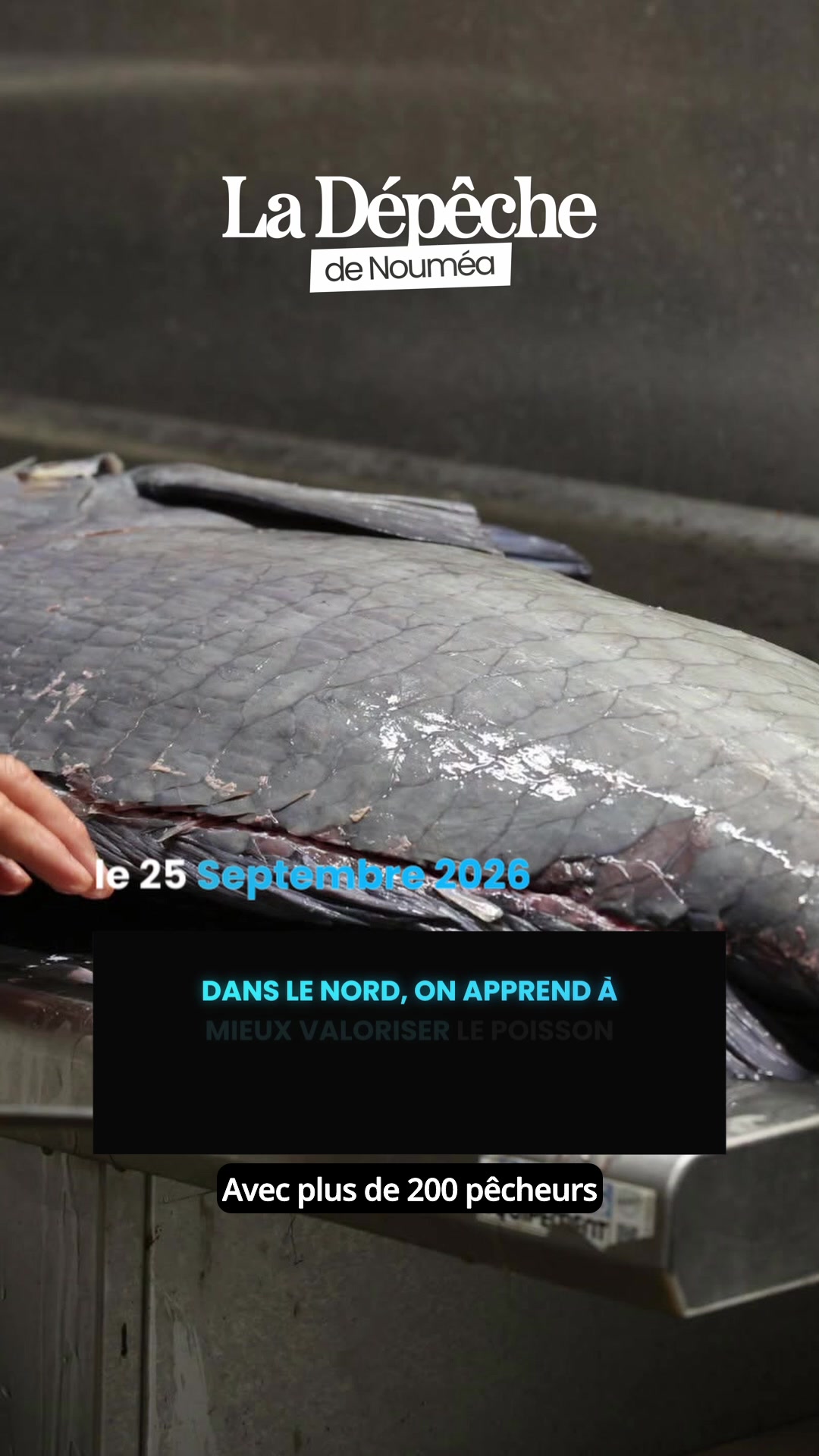 Du bateau à l'étal en 5 jours : voici comment 7 pêcheurs du Nord apprennent à transformer leur poisson en vrai métier qui rapporte !      📎 Lien en bio