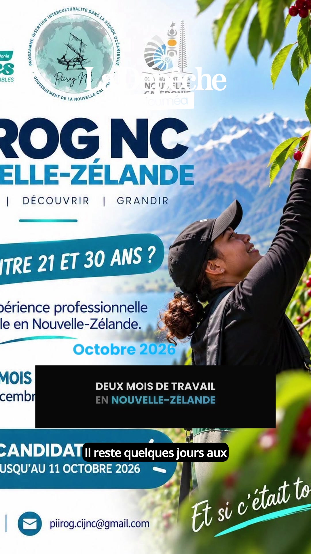 10 jours pour postuler, 2 mois garantis en Nouvelle-Zélande : voici comment partir cueillir des cerises et vivre une vraie expérience pro à l'étranger 🍒🇳🇿      📎 Lien en bio
