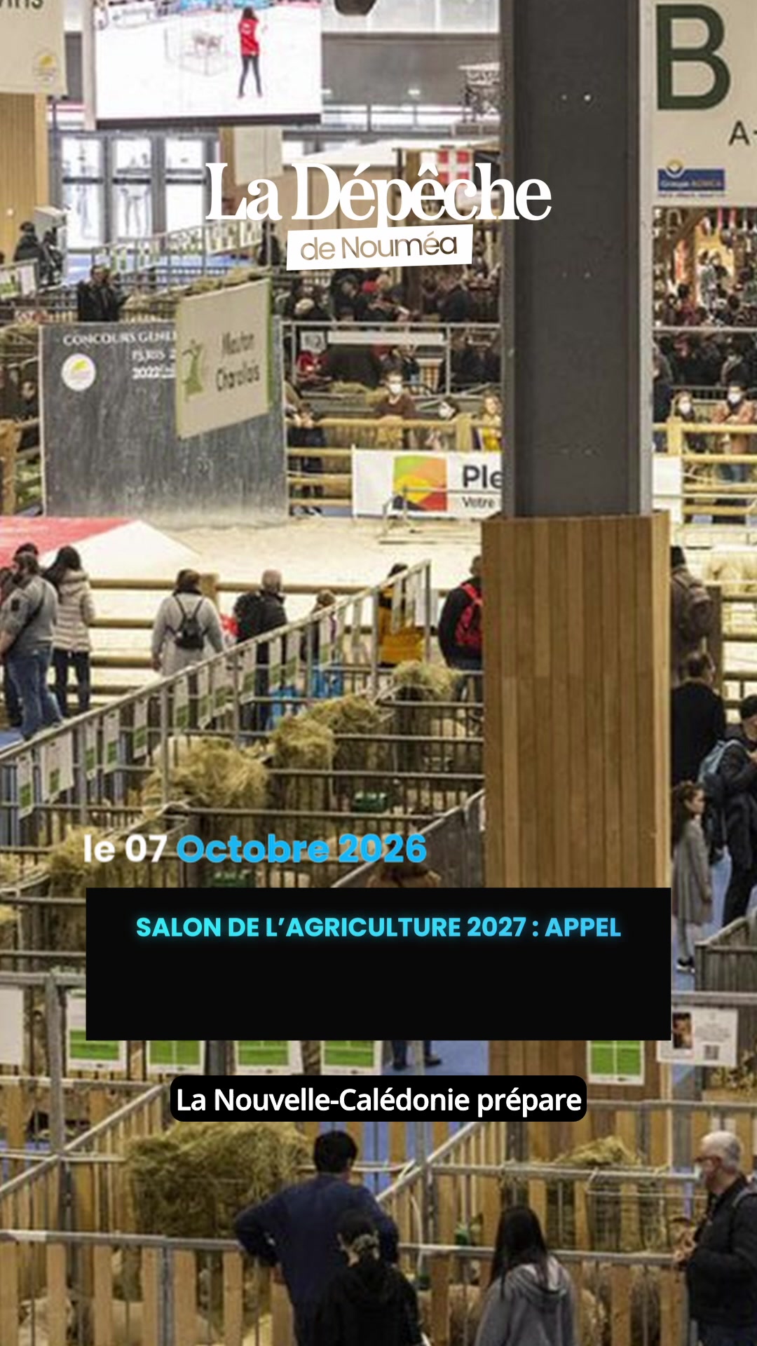 Qui représentera le Caillou au Salon de l’Agriculture 2027 à Paris : les producteurs ont jusqu’au 11 octobre minuit pour candidater !     📎 Lien en bio