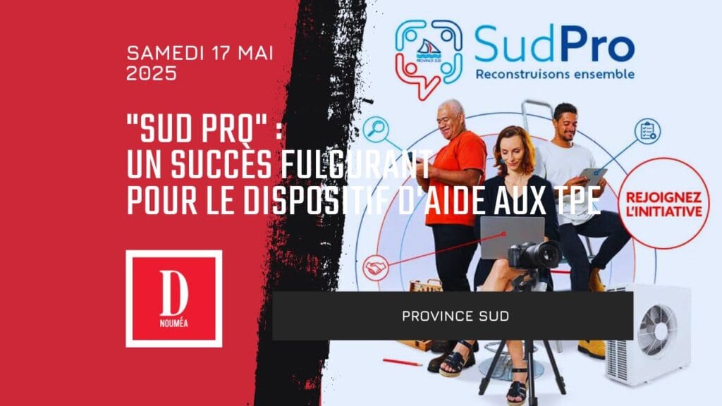 « Sud Pro » : un succès fulgurant pour le dispositif d’aide aux TPE