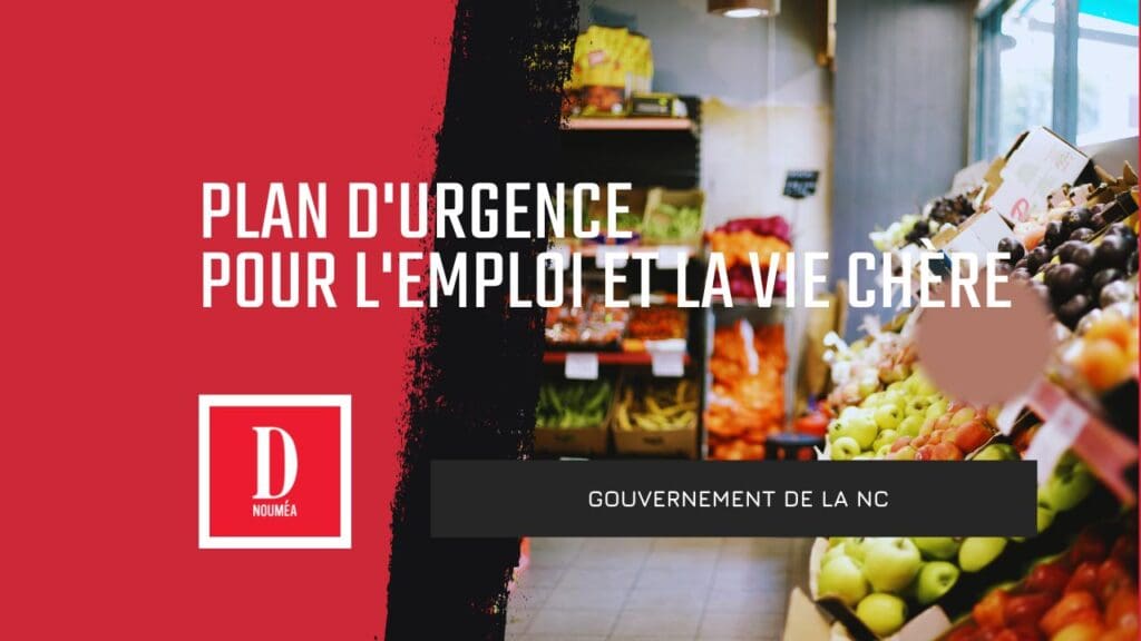 Plan d’urgence pour l’emploi et la vie chère