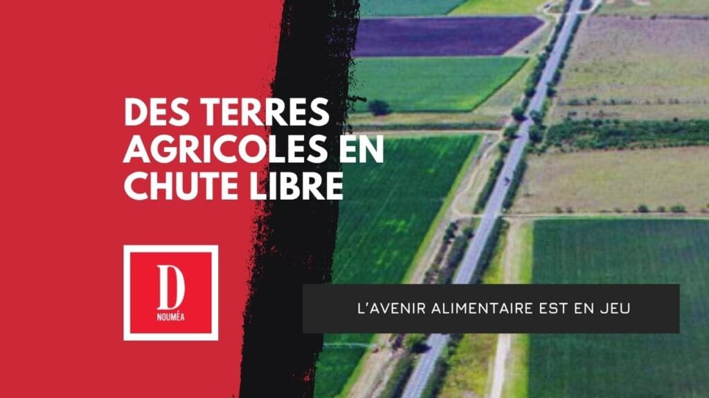 Agriculture : les terres disparaissent, l’alerte est lancée