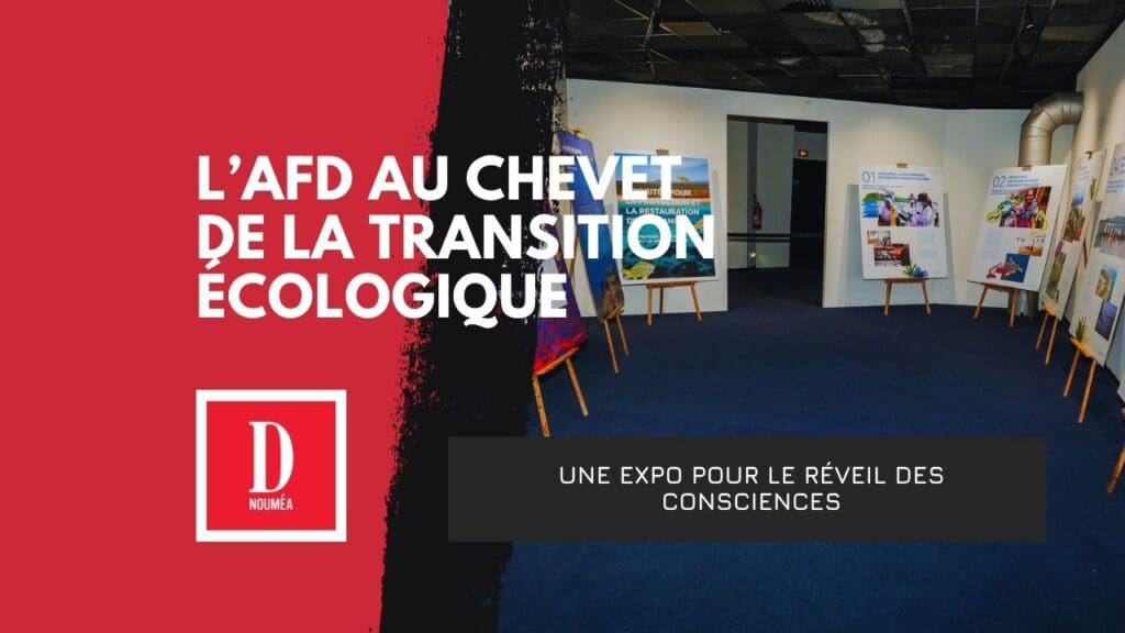 Nouméa : l’océan en danger, l’expo qui alerte