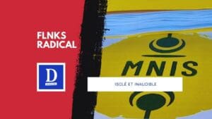 MNIS : le micro-parti qui joue les donneurs de leçons