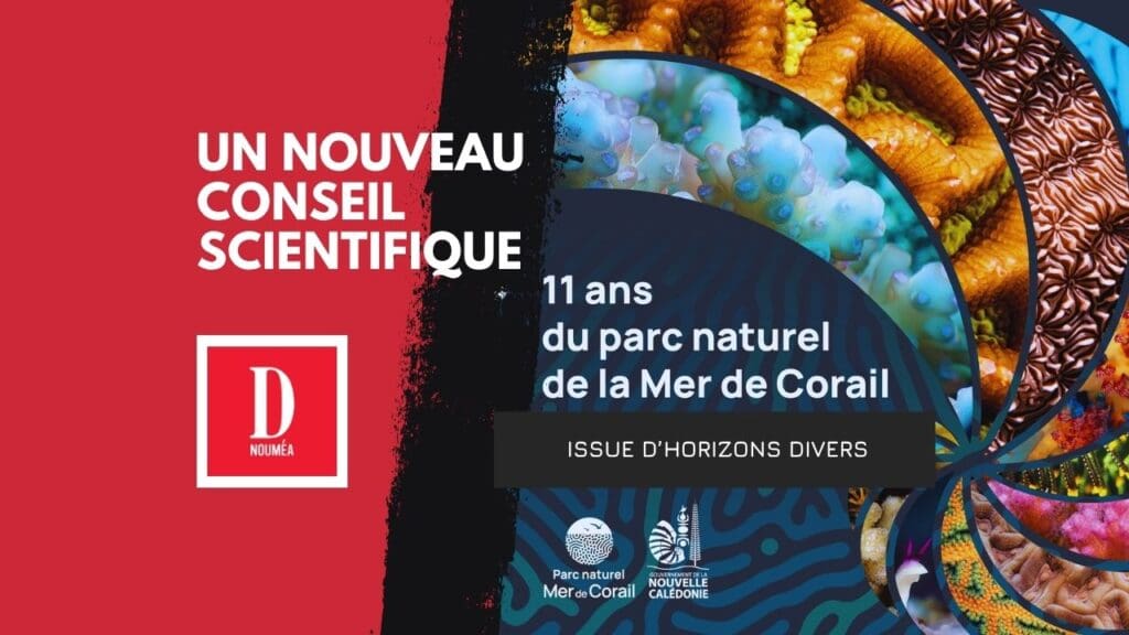 Mer de Corail : le virage choc