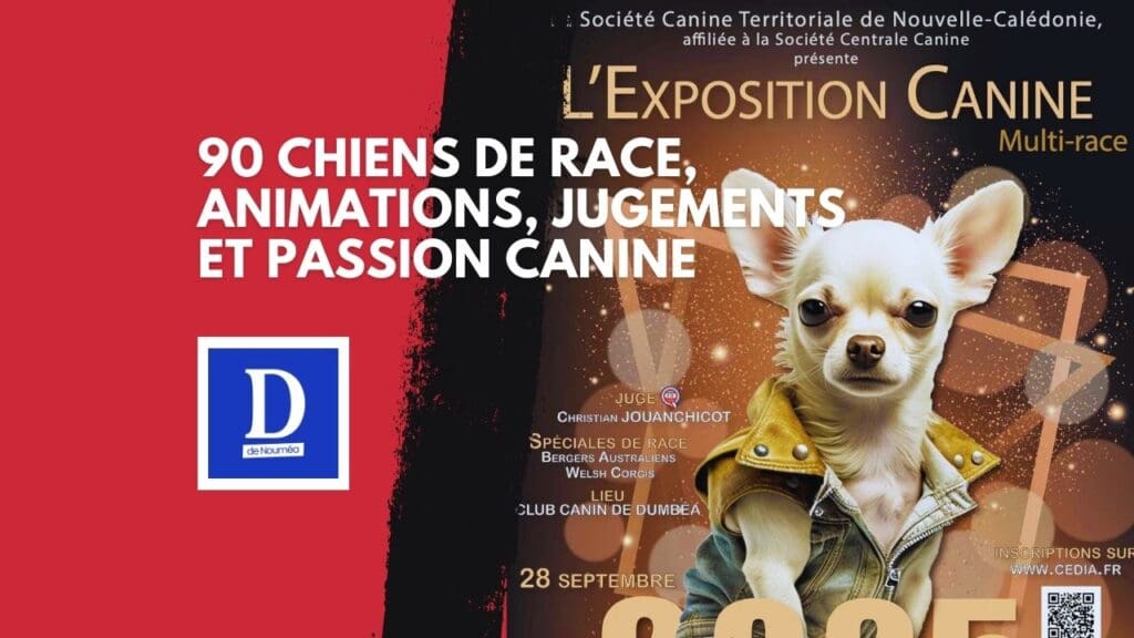 Dumbéa célèbre les plus beaux chiens de Nouvelle-Calédonie