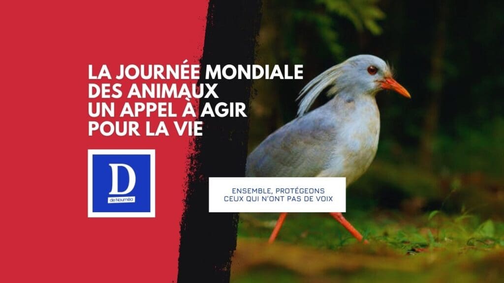Le 4 octobre : Protéger les animaux