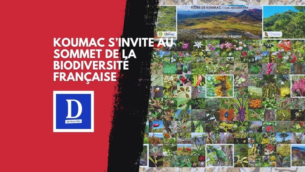 Un livret qui réveille la fierté calédonienne