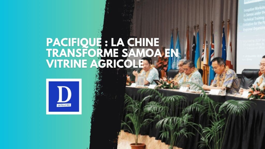 Samoa mise sur le cacao… et s’expose au financement chinois