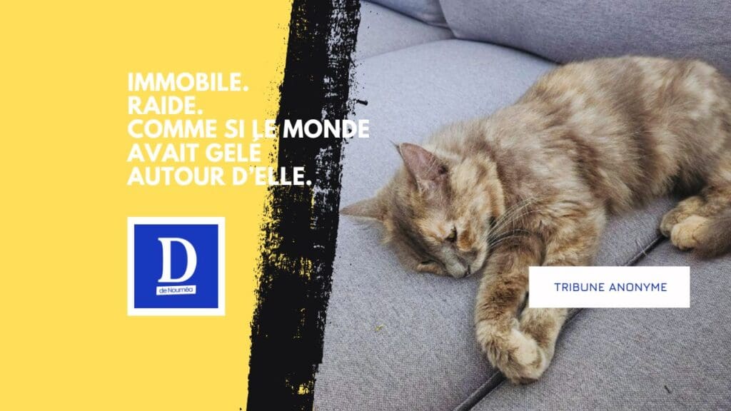 “Iris, l’amour sauvage que j’ai perdu au petit matin”