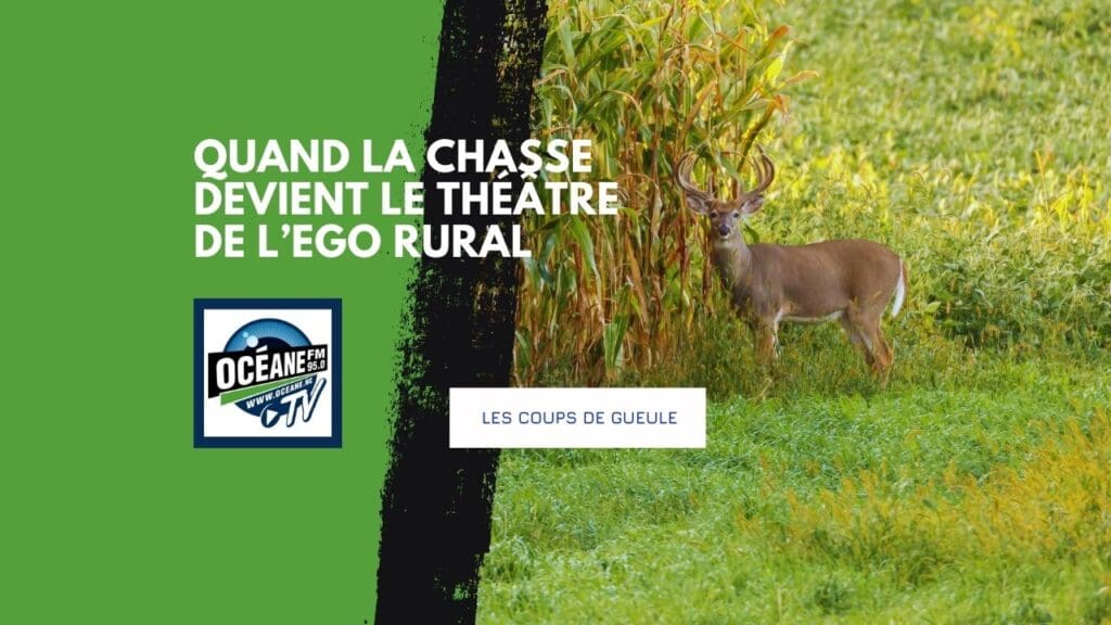 Projecteurs en brousse : quand la chasse tourne au cirque et que les voisins s’éclairent