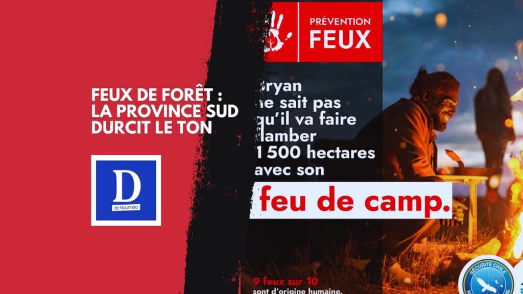 Feux de brousse : le fléau numéro un de nos forêts